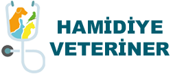 Hamidiye Veteriner Kliniği | Veteriner Hekim, Kedi & Köpek Tedavisi, Aşı, Cerrahi ve Petshop