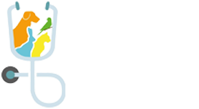 Hamidiye Veteriner Kliniği | Veteriner Hekim, Kedi & Köpek Tedavisi, Aşı, Cerrahi ve Petshop