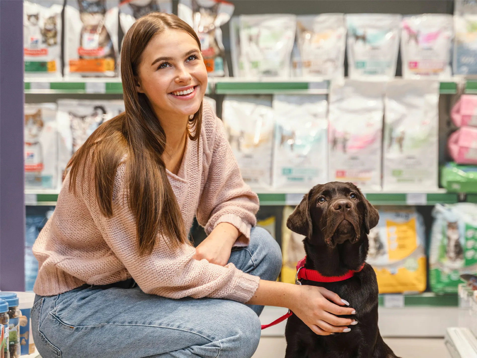 Petshop