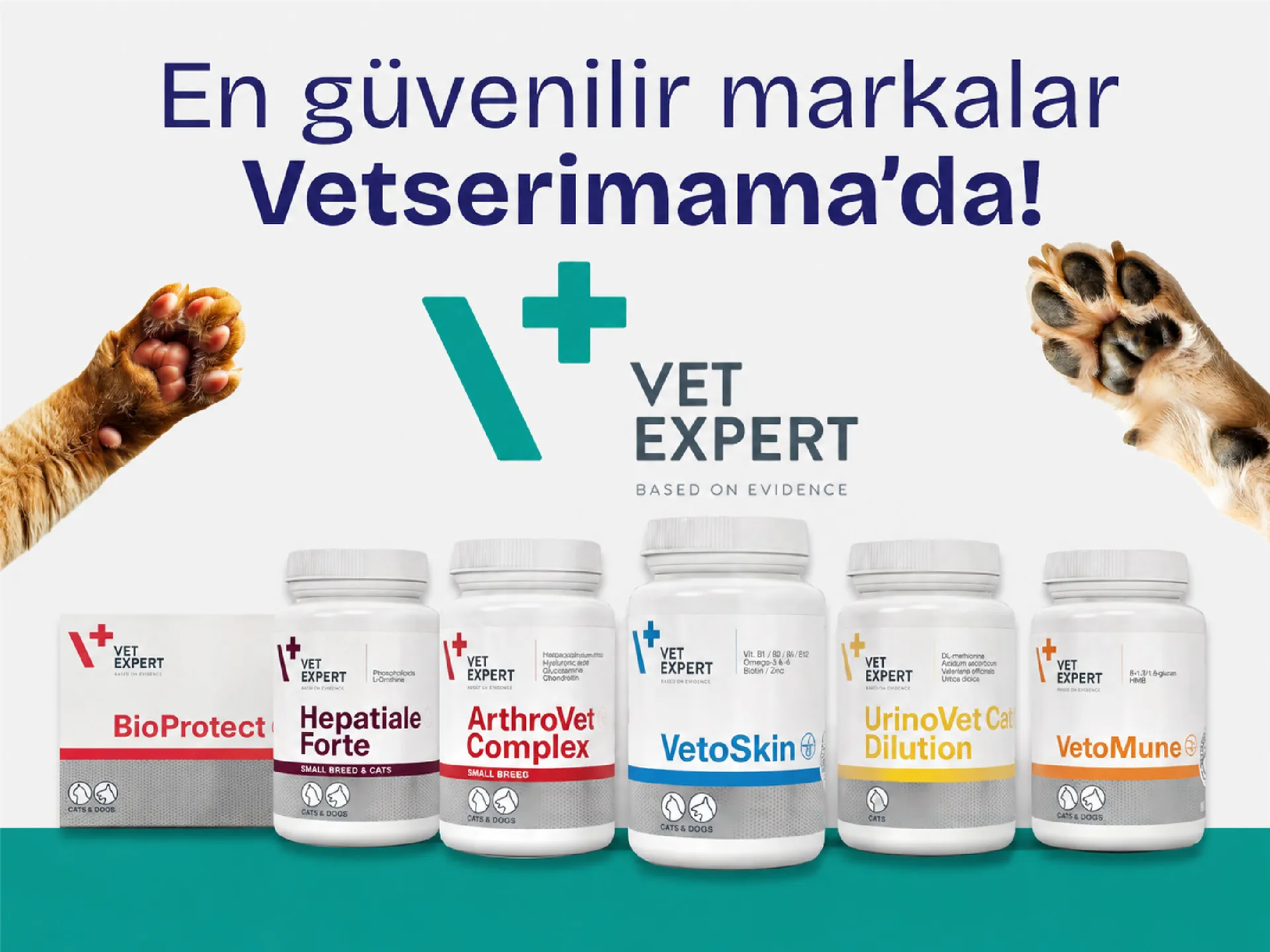 Vetexpert